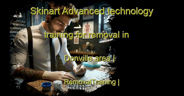 Skinart Advanced technology training for removal in Donville area | RemovalTraining | RemovalClasses | SkinartTraining-France